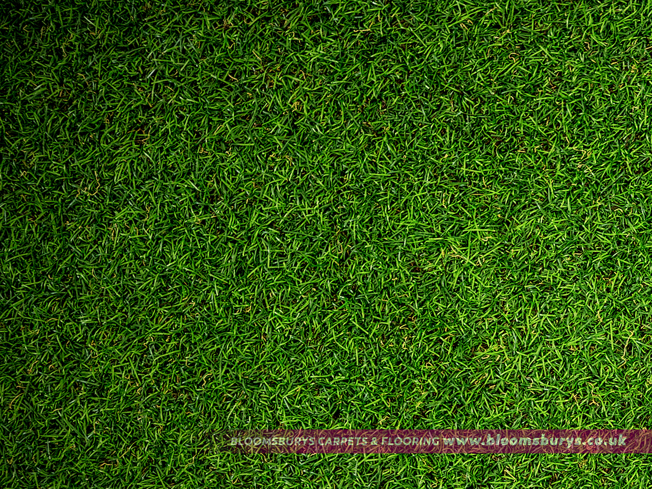 Artificial Grass Installations