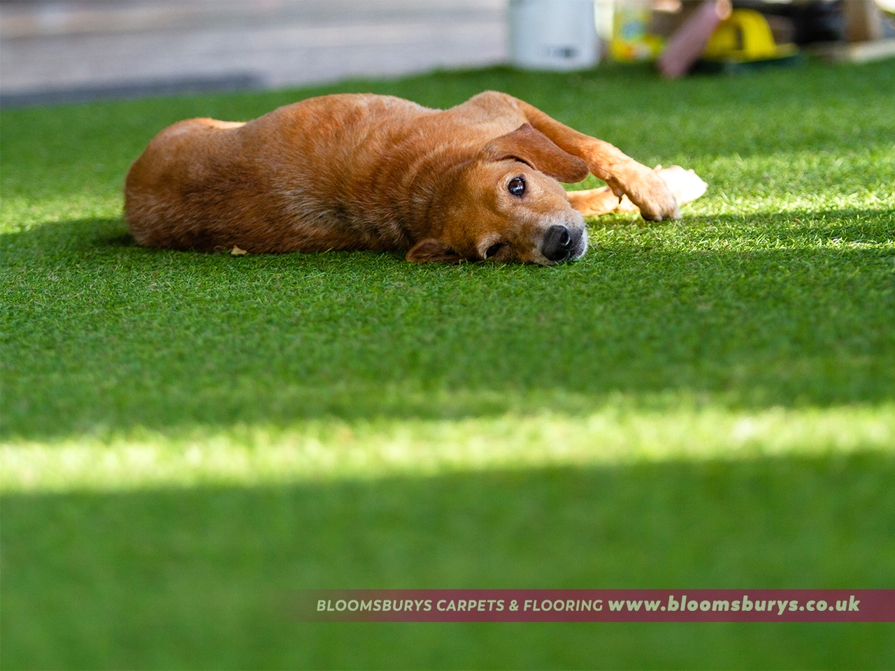 Artificial Grass Installations